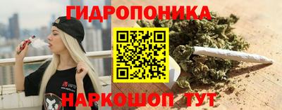 прущие крисы Мариинск