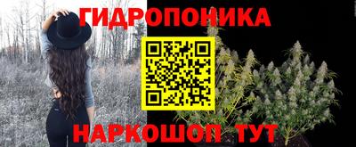 прущие крисы Мариинск