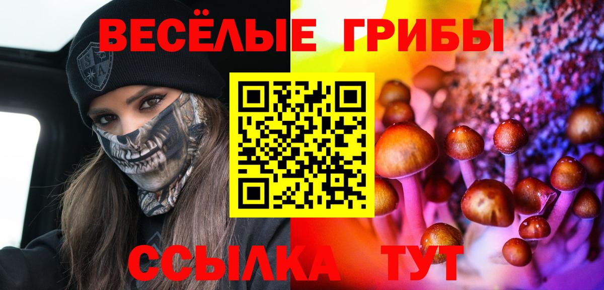 Димитровград  Галлюциногенные грибы мухоморы  Вход с VPN 