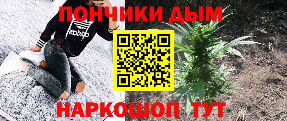 Бошки Шишки Bruce Banner Димитровград